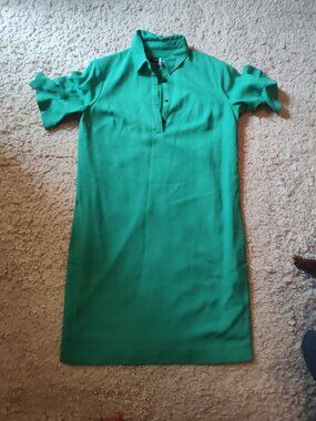 Banana Republic Chic Green Lined Shirt Dress Sz S Dry cleaned Work or Play